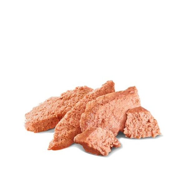 Royal Canin Alimento húmedo Yorkshire Terrier Adulto 85Gr