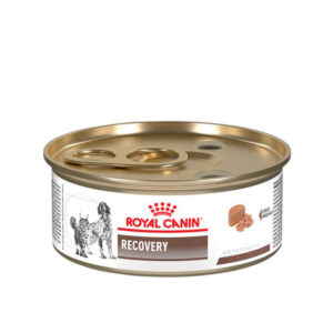 Lata Royal Canin Recovery