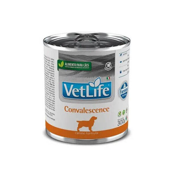 Lata Vet Life Dog Convalescence