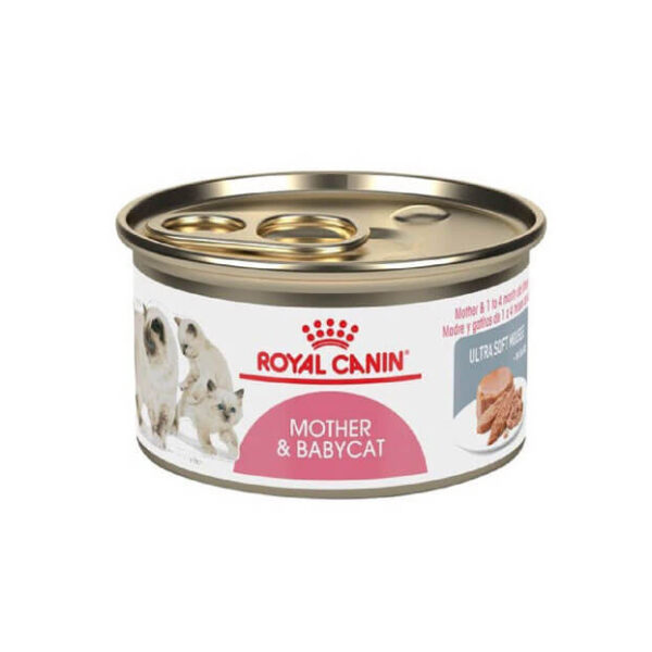 Latas Royal Canin Mother & Babycat