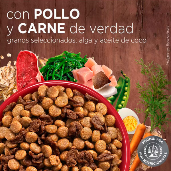 purina one cachorro