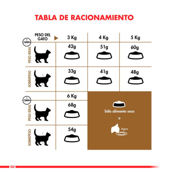 Royal Canin Ageing 12+