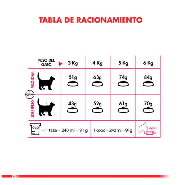 Royal Canin Exigent Alimento Gato Muy Sabroso