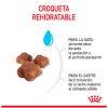 Royal Canin Mother Baby Gato Defensas Naturales
