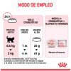 Royal Canin Mother Baby Gato Defensas Naturales