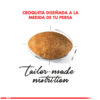 Royal Canin Persian Alimento Gato Adulto