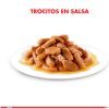 Royal Canin Alimento Húmedo Kitten Gato