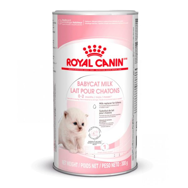 Royal Canin BabyCat Milk Alimento Gatito Lactantes