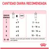 Royal Canin BabyCat Milk Alimento Gatito Lactantes