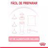 Royal Canin BabyCat Milk Alimento Gatito Lactantes
