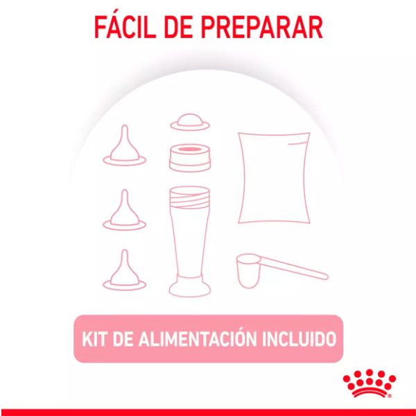 Royal Canin BabyCat Milk Alimento Gatito Lactantes