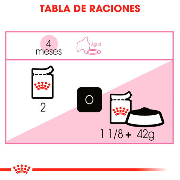 Royal Canin húmedo Kitten