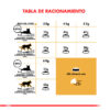 Royal Canin Persian Alimento Gato Adulto