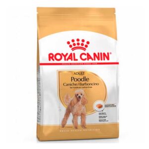 Royal Canin Poodle adulto