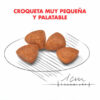 Royal Canin X-Small Puppy