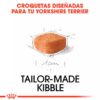 grano royal canin yorkshire terrier