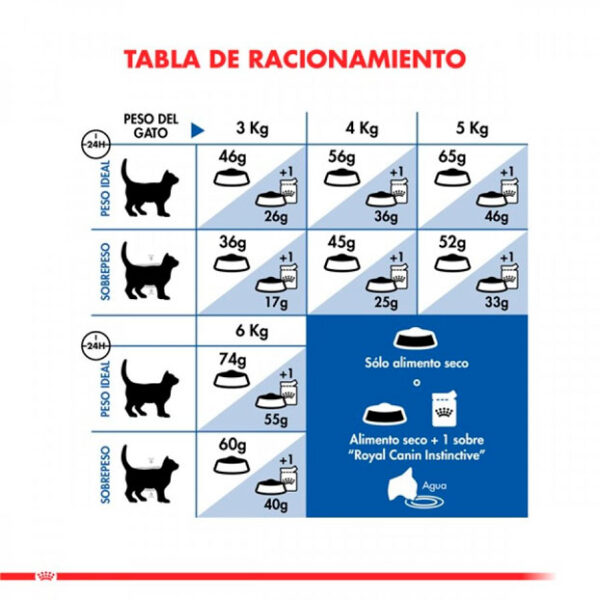 Royal Canin Indoor Alimento Gato Adulto