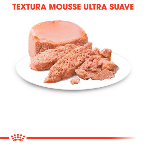 Royal Canin húmedo Mother Babycat