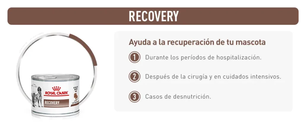 Ayuda a la recuparación de tu mascota