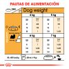 Royal Canin Shih Tzu Alimento Perro Adulto