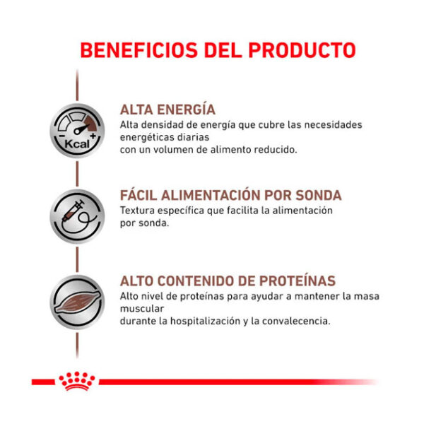 Royal Canin húmedo Recovery