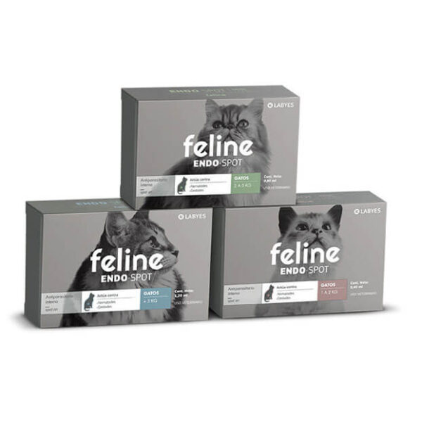 Feline labyes endo spot Antiparasitario