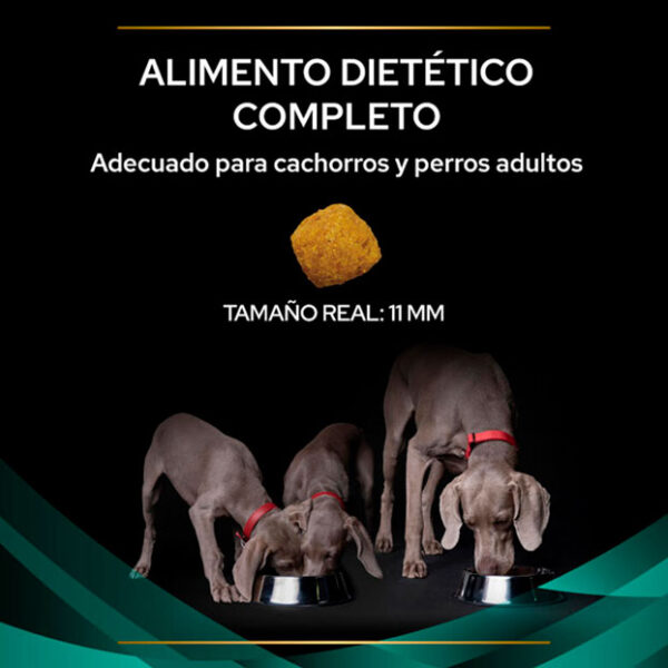 Pro Plan Veterinary EN Gastrointestinal