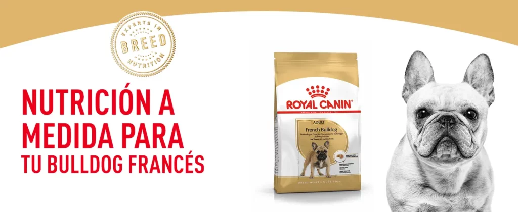 Royal Canin Bulldog Frances Adulto