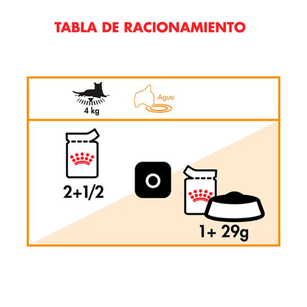 Royal Canin intense Beauty alimento húmedo gato 85 grs