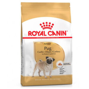 Royal Canin Pug adulto