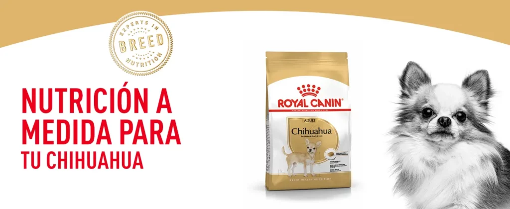 alimento chihuahua royal canin
