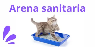 arena sanitaria