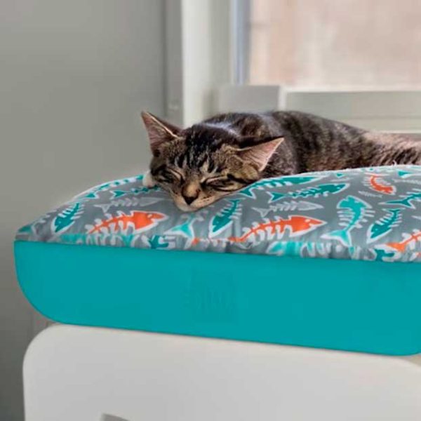 cama gato alta calidad