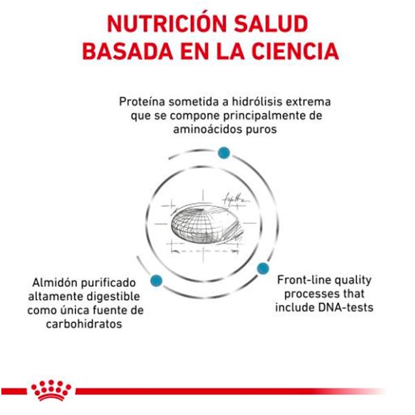Alimento Gato Reacciones Alérgicas