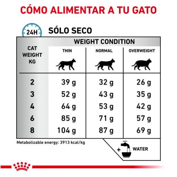 Alimento Gato Reacciones Alérgicas medidas