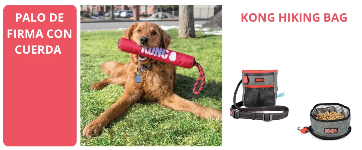 Detalle palo de firma con cuerda Kong para perros