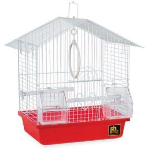 Jaula Para Aves Pequeñas